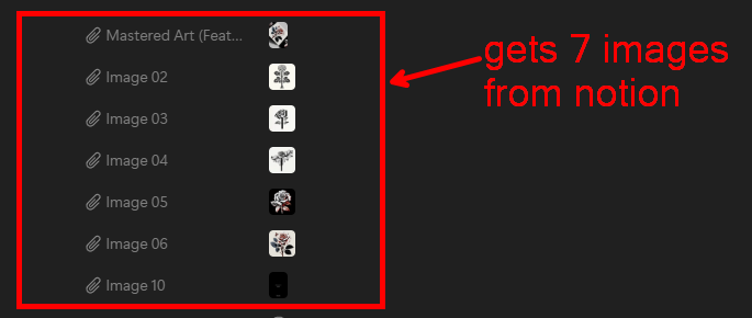 Project gallery image 4