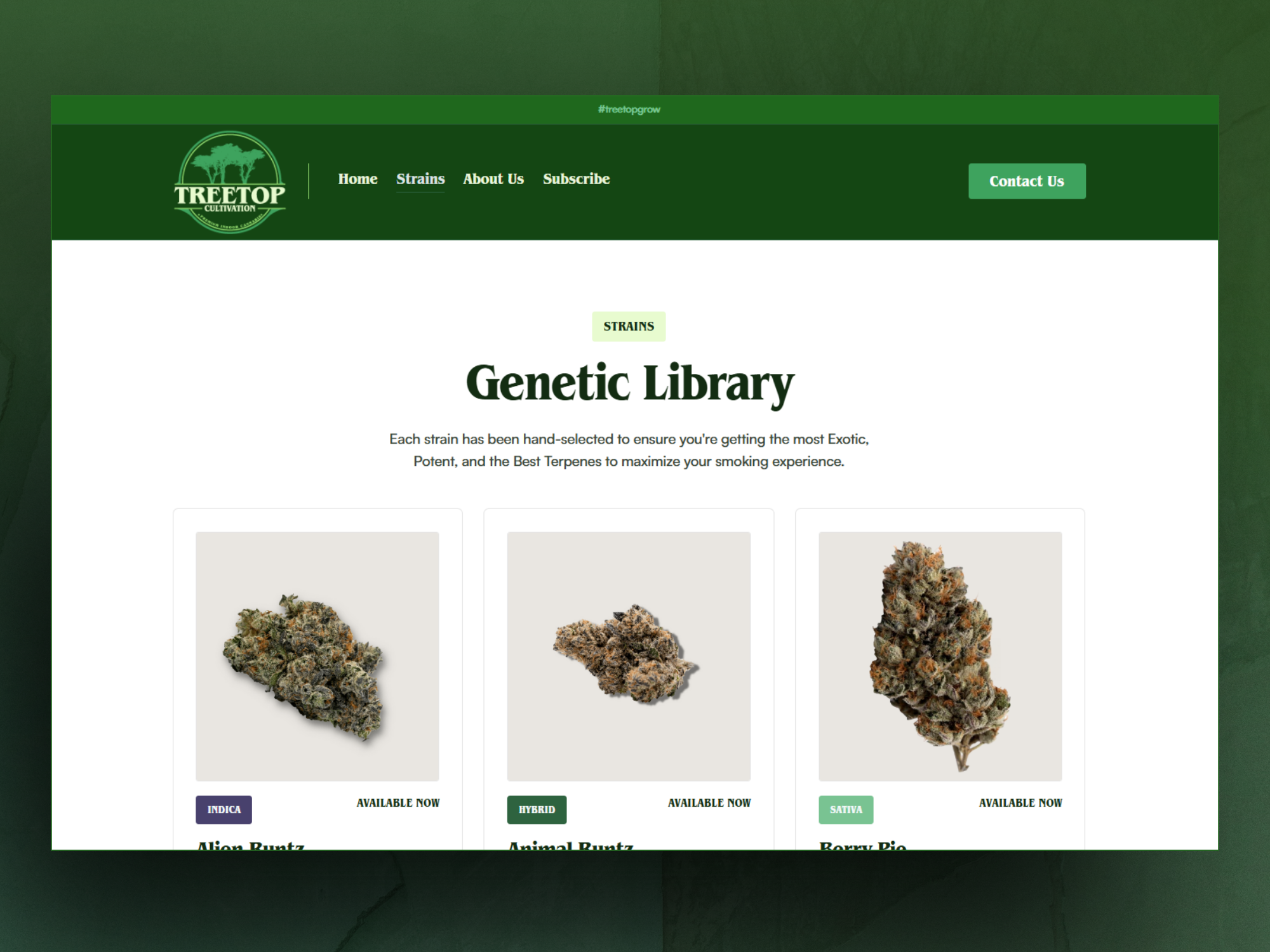 Project gallery image 1