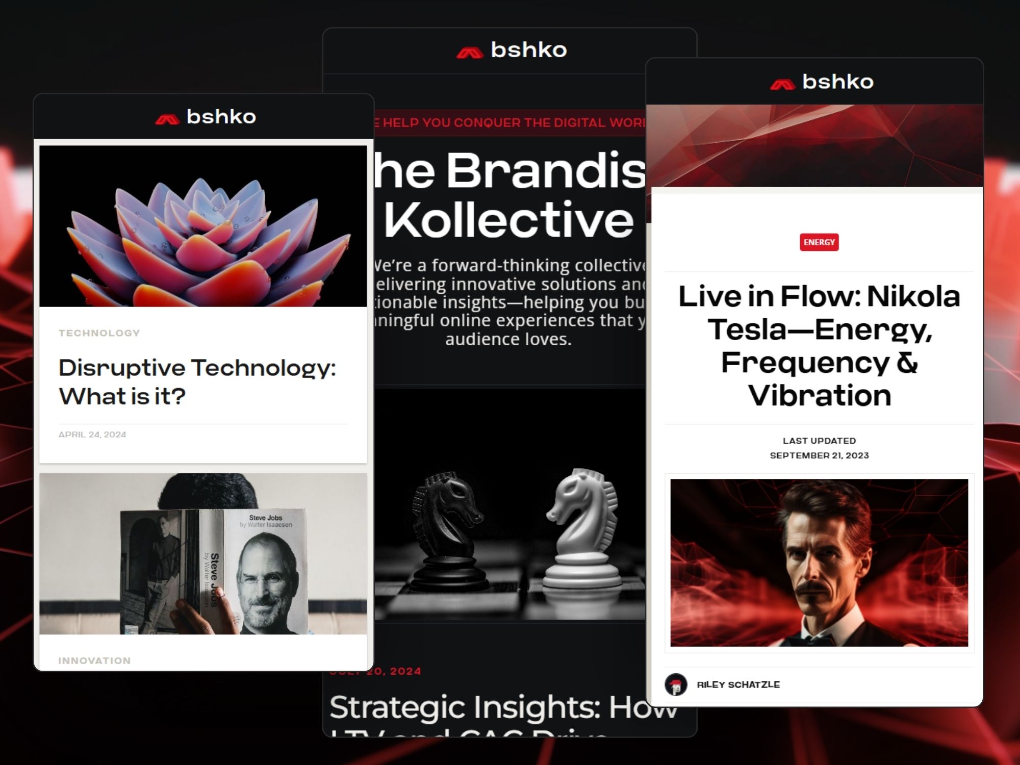 Project gallery image 6