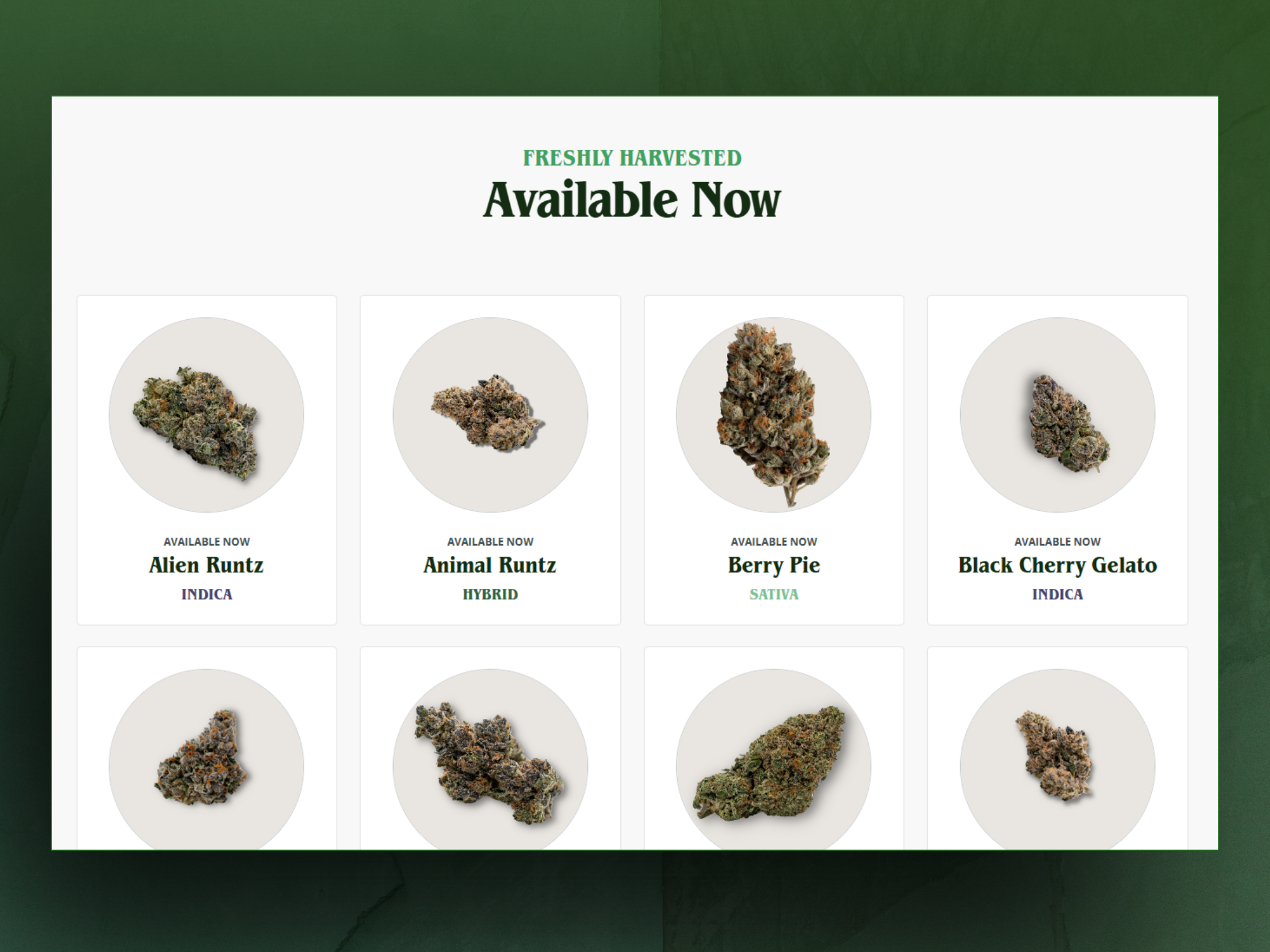 Project gallery image 3