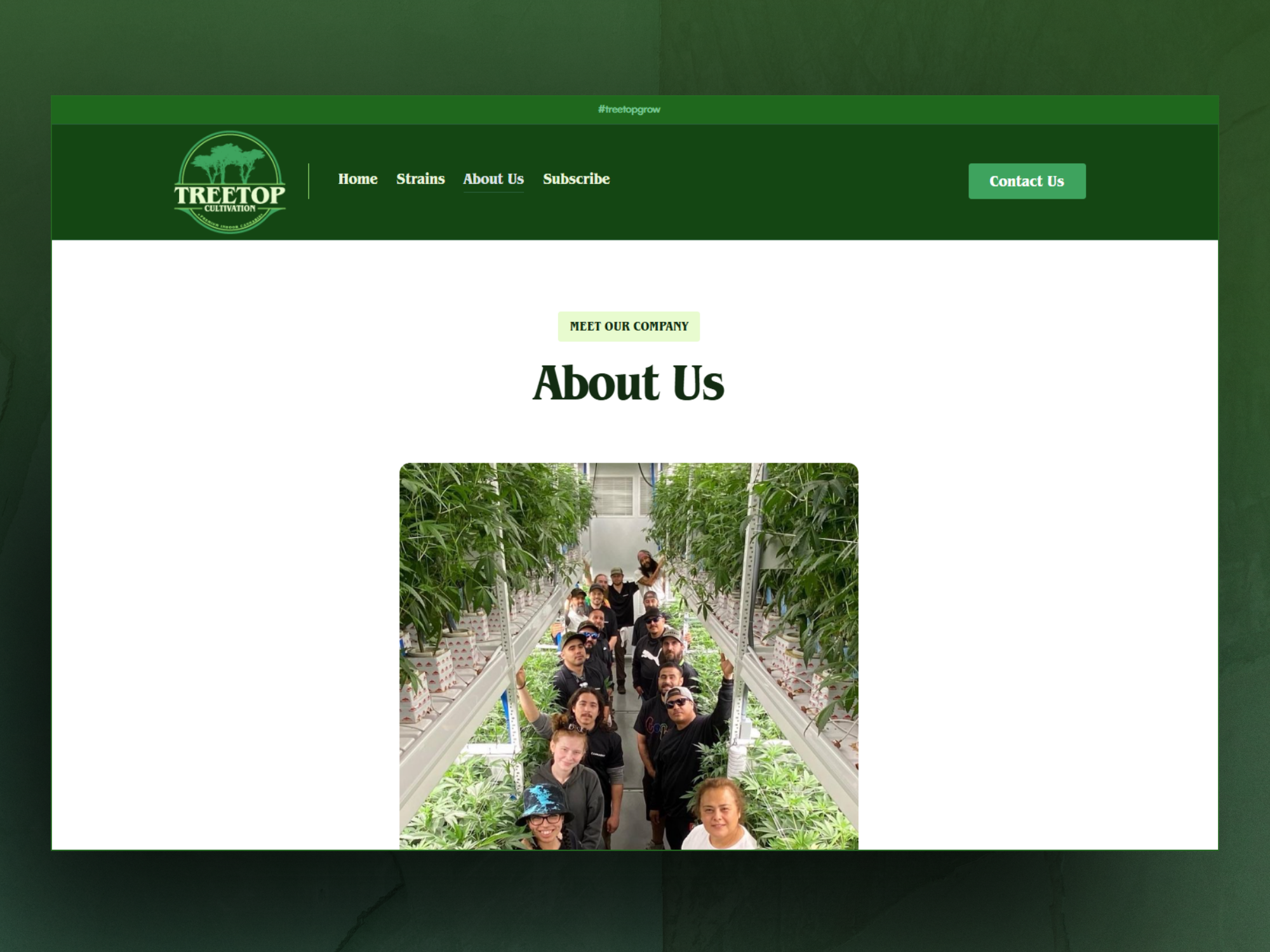 Project gallery image 4