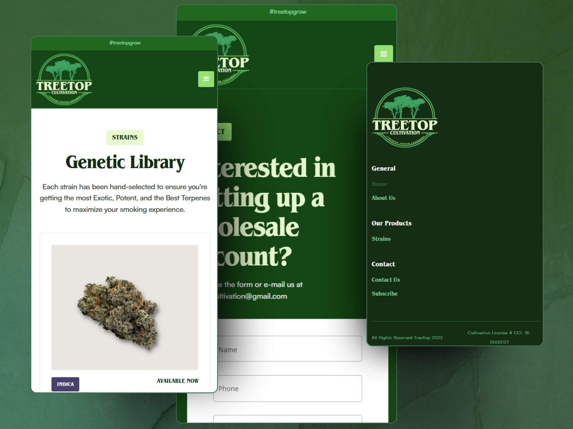 Project gallery image 5