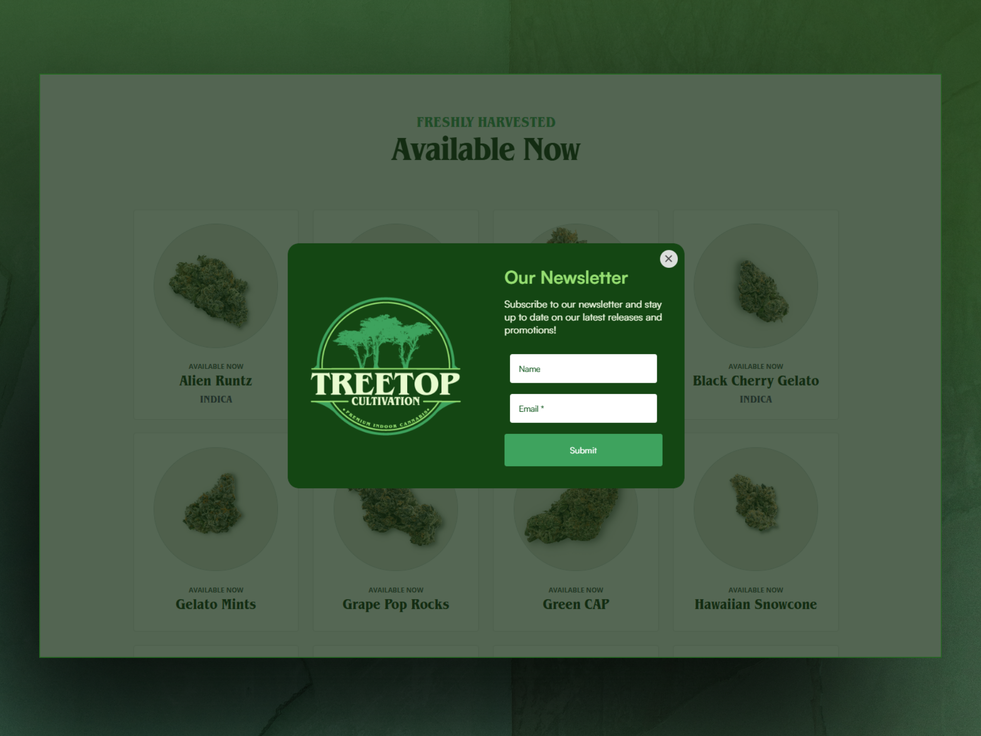 Project gallery image 6